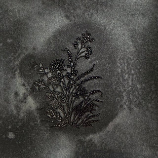 Brushed Nickel JUST SHIMMER Spray