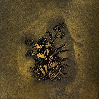 Dragon's Delight JUST SHIMMER Spray