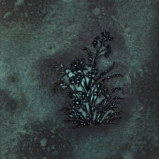 Shimmering Siren JUST SHIMMER Spray