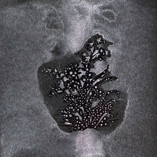 Lycan Lilac JUST SHIMMER Spray