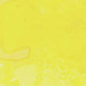 Yellow Rose of Texas Shimmer Spray