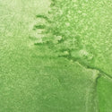 Drop Dead Gorgeous Green Shimmer Spray