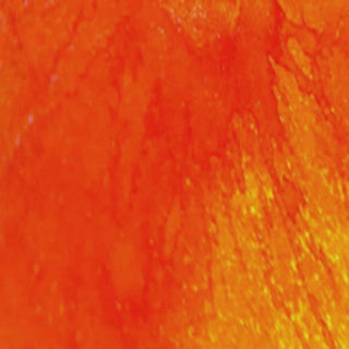 Hag's Wart Orange Shimmer Spray